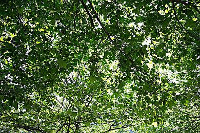 虚幻5开放世界生存锻造游戏《信号》公布