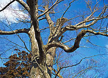 Epic喜加二！国产横版动作游戏《斩妖行》免费领